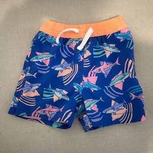 Chubbies Swim Trunks 18-24 Months
